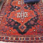 702 6645 ORIENTAL RUG